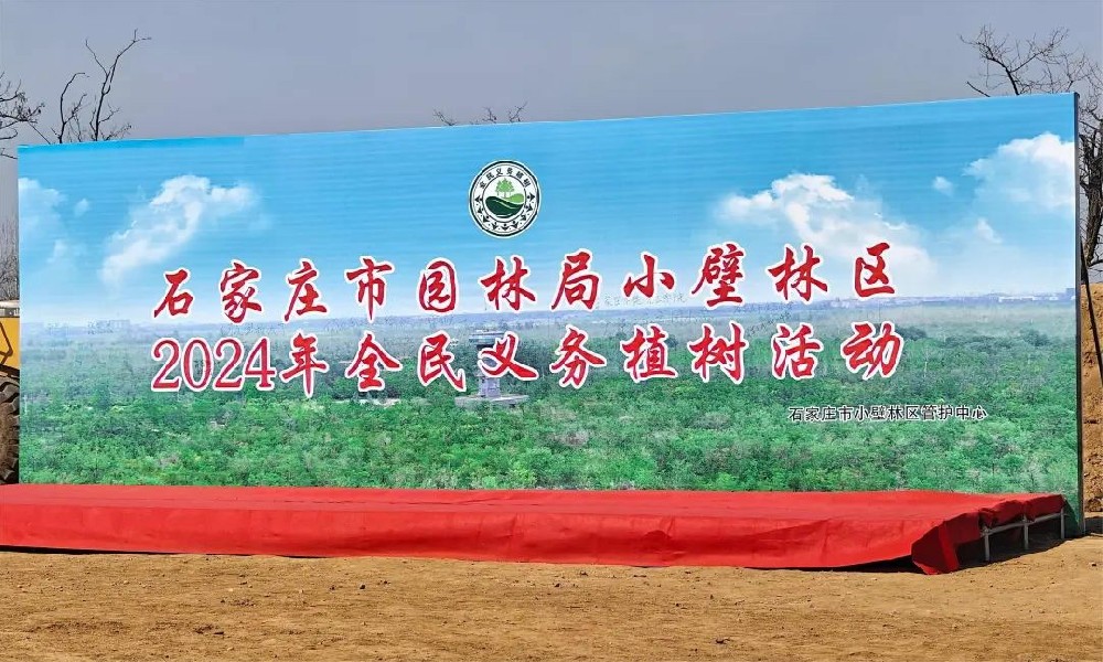 植树造林，绿化祖国！——河北顶峰土木工程有限公司（新达河北分公司）